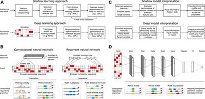 Learning the Regulatory Code of Gene Expression